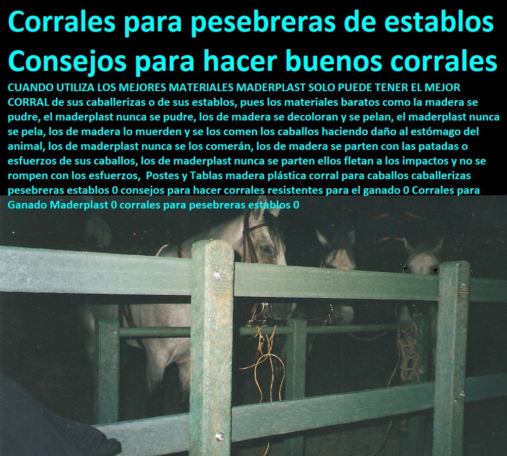 Corrales Para Caballos de paso fino Maderplast 0, corral equinos como hacer un corral para caballos facil 0, corral equinos caballerizas de madera 0, corral equinos establos para caballos medidas 0 corral equinos diseños de establo Corrales Para Caballos de paso fino Maderplast 0, corral equinos como hacer un corral para caballos facil 0, corral equinos caballerizas de madera 0, corral equinos establos para caballos medidas 0 Corral Caballerizas, Pesebreras De Caballos, Plaza Toros, Brete Ganadero, Apretaderos Embarcaderos, Postes Tablas, Polines Varetas, Mangas De Coleo, Horcones Madera Plástica, Corrales, Establos De Ganado, Mangas De Coleo, corral equinos diseños de establo